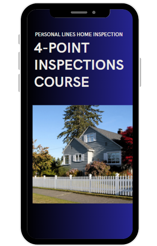 4-Point Field Inspection Course | Digital PDF Download